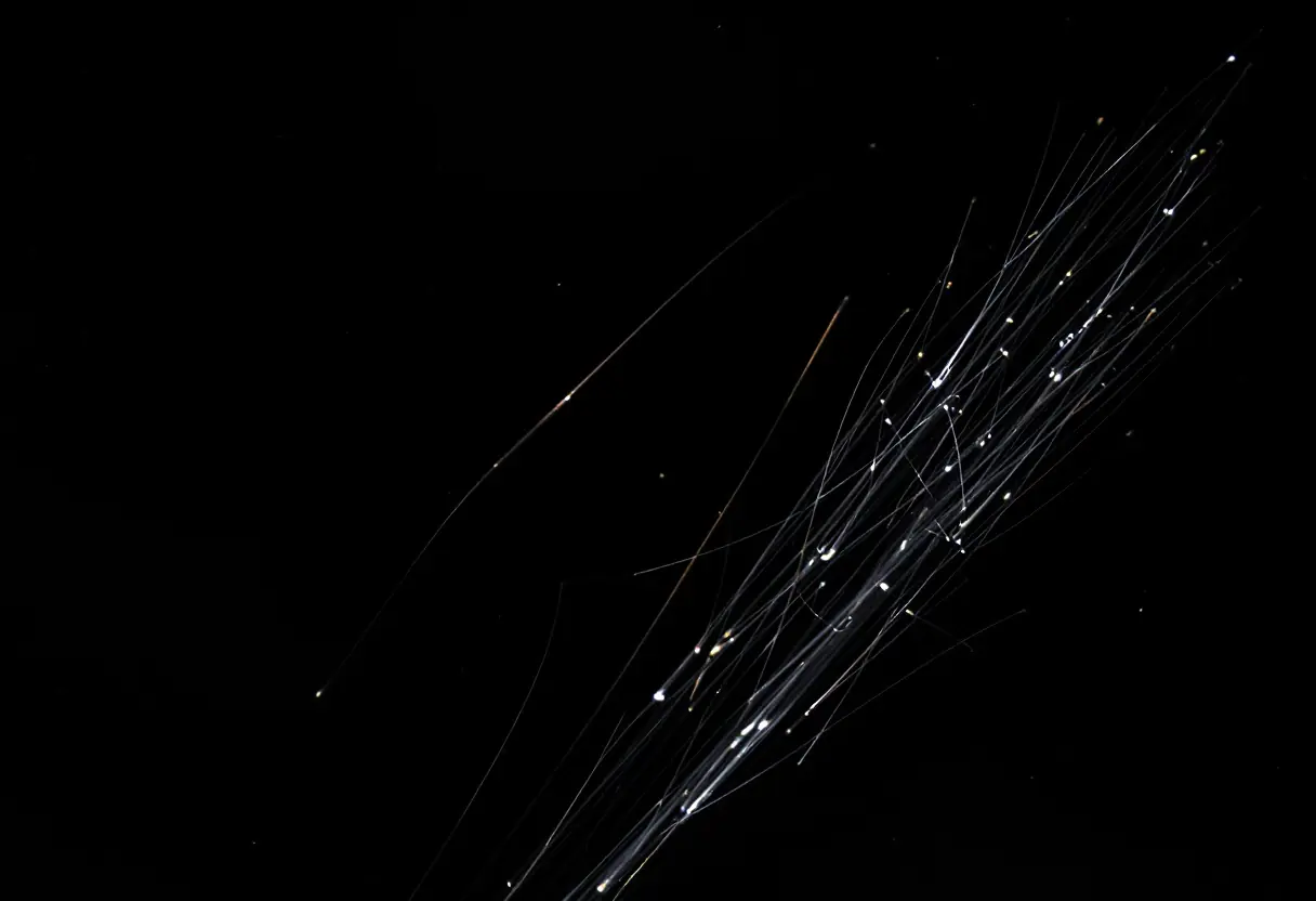 Darkfield microscopy plate showing fine translucent filaments against black